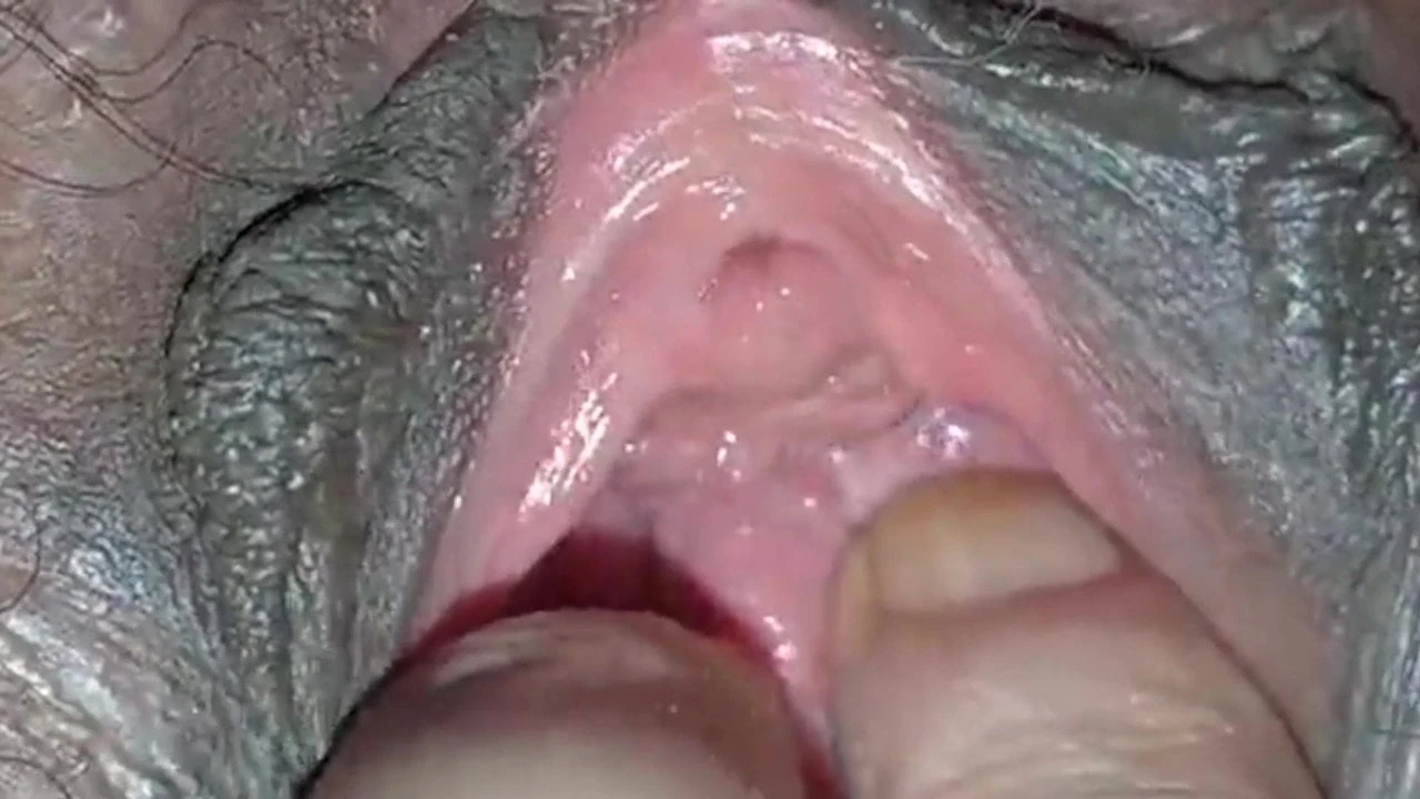 FILIPINO COUGARS FOR WHITE COCKS
