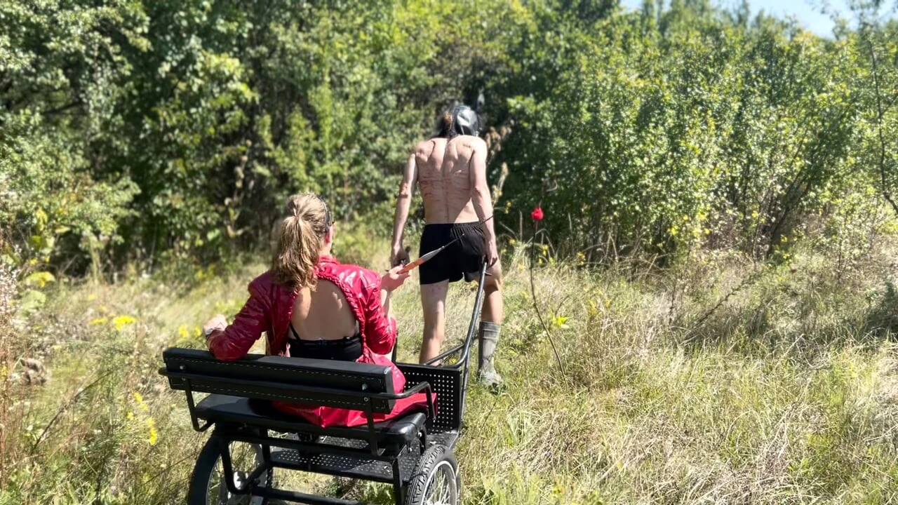 Taking my BRUISED ponyboy in to the thorny bush 907